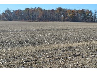 Tract 3 - FARMLAND AUCTION - 165.5+/- ACRES OFFERED IN 5 TRACTS OR COMBINATIONS IN EAST ALLEN COUNTY